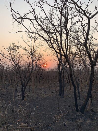 Un área afectada por un incendio en el estado de Mato Grosso, Brasil.