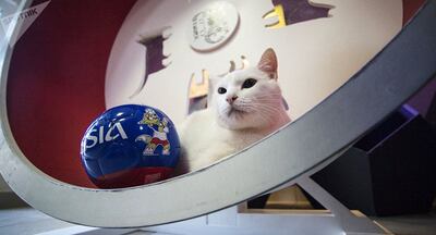 /pf/resources/images/abc-placeholder.png?d=2395