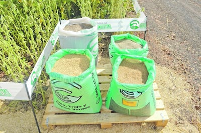 /pf/resources/images/abc-placeholder.png?d=2394