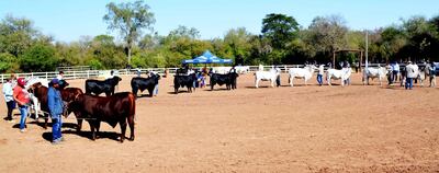 /pf/resources/images/abc-placeholder.png?d=2429