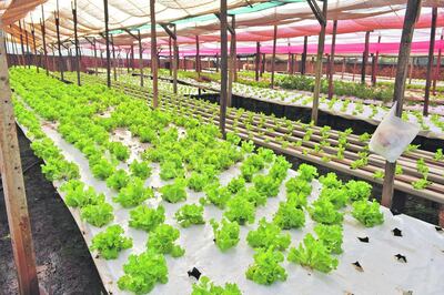 /pf/resources/images/abc-placeholder.png?d=2421