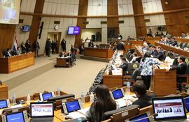 el-pleno-de-la-camara-de-diputados-aprobo-en-su-sesion-anterior-un-nuevo-pedido-de-informes-a-la-ande--195417000000-1447663.jpg