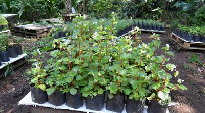 /pf/resources/images/abc-placeholder.png?d=2421