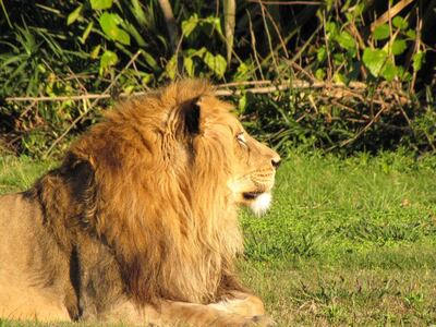 Imagen sin descripción