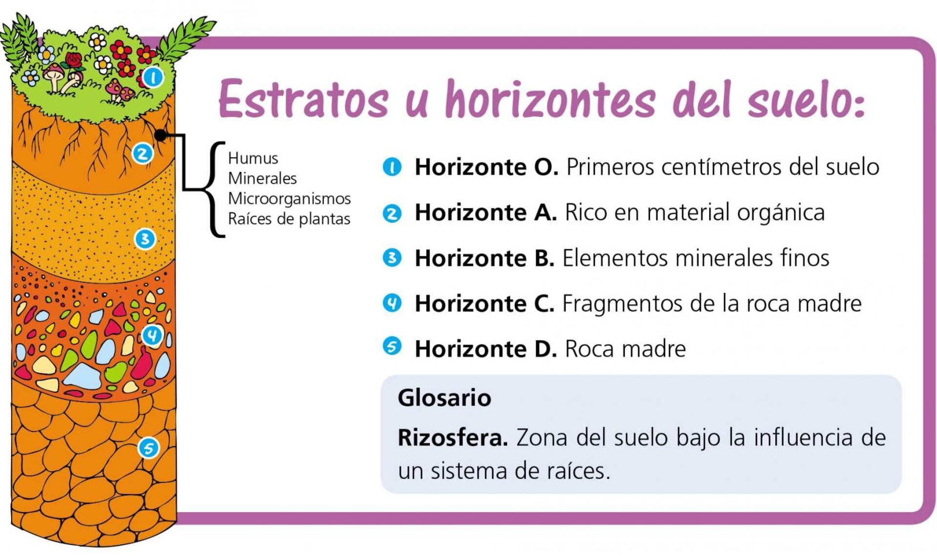 capas de suelo para niños