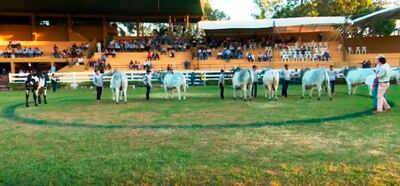 Ejemplares carniceros, estuvieron presentes en  la Muestra Internacional.