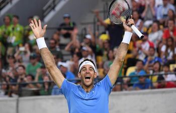 juan-martin-del-potro-163307000000-1489109.JPG