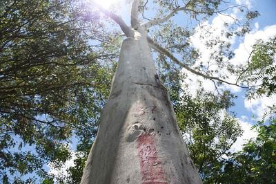 /pf/resources/images/abc-placeholder.png?d=2399