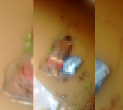 /pf/resources/images/abc-placeholder.png?d=2430