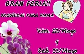feria-de-orquideas-por-el-dia-de-la-madre-102710000000-1583341.jpeg