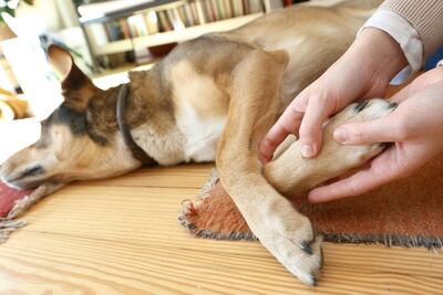 /pf/resources/images/abc-placeholder.png?d=2394