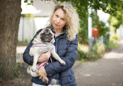 ¿Qué perros son los mejores para acompañar a una persona de edad? Si estamos buscando que tengan contacto corporal con sus mascotas, lo ideal son los perros y los gatos.