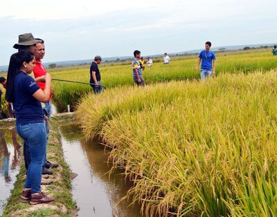 /pf/resources/images/abc-placeholder.png?d=2394