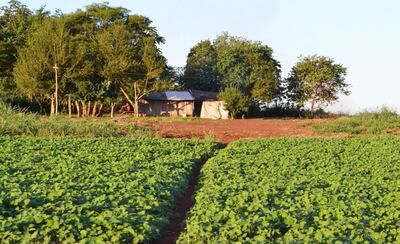 /pf/resources/images/abc-placeholder.png?d=2410