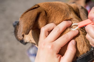 /pf/resources/images/abc-placeholder.png?d=2394