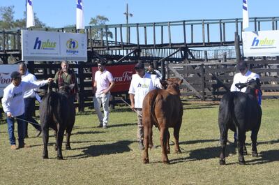 /pf/resources/images/abc-placeholder.png?d=2421