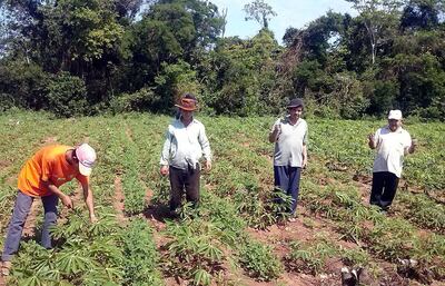 Imagen sin descripción