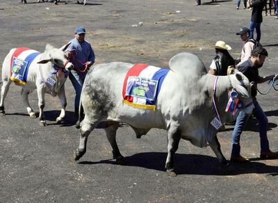 /pf/resources/images/abc-placeholder.png?d=2393