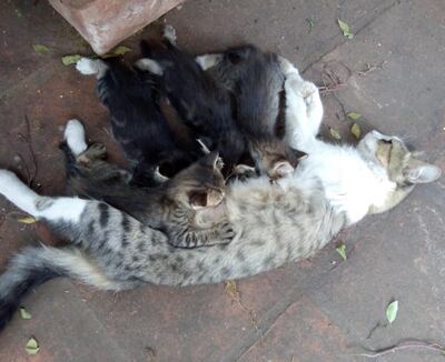 /pf/resources/images/abc-placeholder.png?d=2393