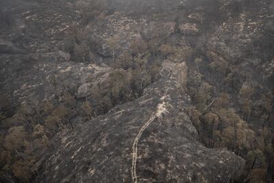 Una zona devastada por los incendios forestales en la región de las Montañas Azules, al oeste de Sídney, Australia.