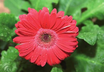 Imagen sin descripción