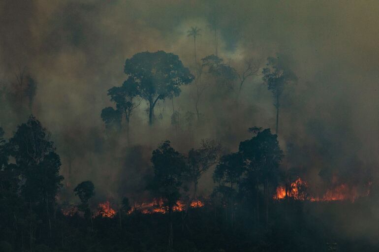 Foto distribuida por Greenpeace. Muestra un sector en llamas del bosque de Candeias do Jamari, cerca de Porto Velho en Rondonia State.