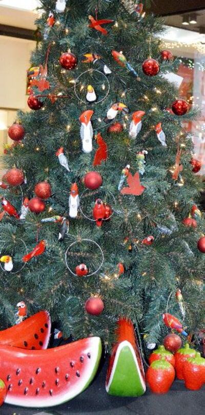 Imagen sin descripción