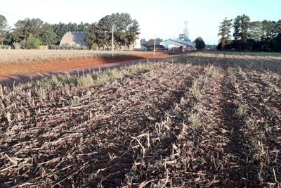El técnico Lauro Fischer nos envió esta gráfica, desde la zona de Bella Vista, en donde no se puede iniciar la siembra debido a la falta de humedad en el suelo.