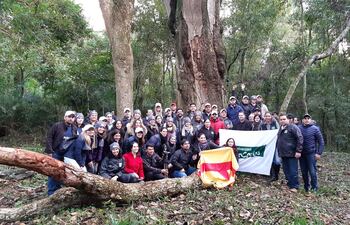 Hoy se midió por segunda vez consecutiva un árbol en Horqueta.