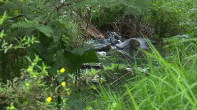 /pf/resources/images/abc-placeholder.png?d=2398