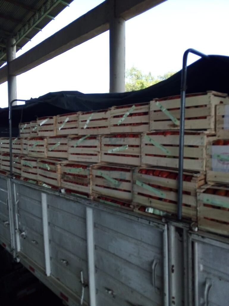 Garantizan abastecimiento normal de hortalizas