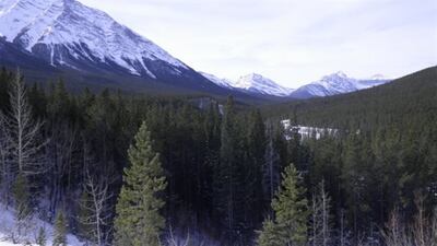 El corredor libre de hielo en Columbia Británica y Alberta fue el primer lugar donde las capas de hielo se derritieron al final de la última edad de hielo.
