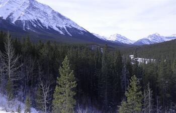 El corredor libre de hielo en Columbia Británica y Alberta fue el primer lugar donde las capas de hielo se derritieron al final de la última edad de hielo.