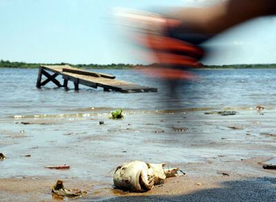 /pf/resources/images/abc-placeholder.png?d=2399