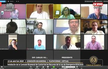 Sesión virtual del Senado.