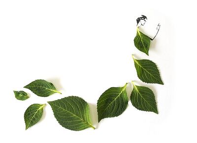 Imagen sin descripción