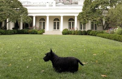 /pf/resources/images/abc-placeholder.png?d=2393