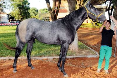 /pf/resources/images/abc-placeholder.png?d=2395