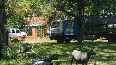 /pf/resources/images/abc-placeholder.png?d=2393