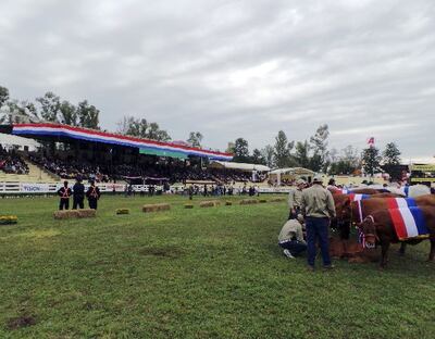 Imagen sin descripción