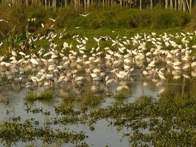 /pf/resources/images/abc-placeholder.png?d=2421