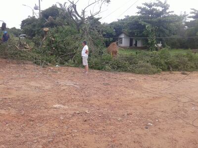 Imagen sin descripción