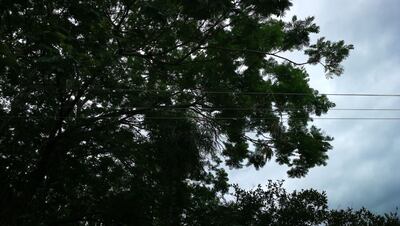 /pf/resources/images/abc-placeholder.png?d=2399