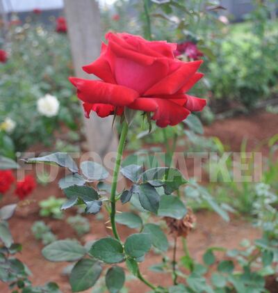 /pf/resources/images/abc-placeholder.png?d=2398