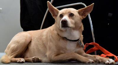 /pf/resources/images/abc-placeholder.png?d=2395