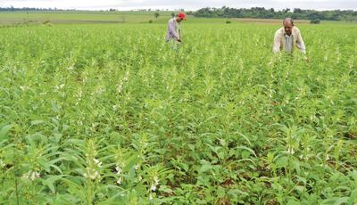 /pf/resources/images/abc-placeholder.png?d=2421