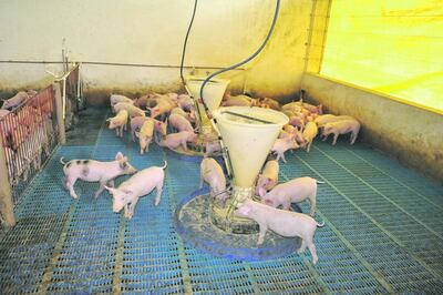 /pf/resources/images/abc-placeholder.png?d=2395