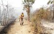 Un guardaparque en la ardua tarea de sofocar los focos del incendio que terminó por quemar toda la reserva Los Tres Gigantes.