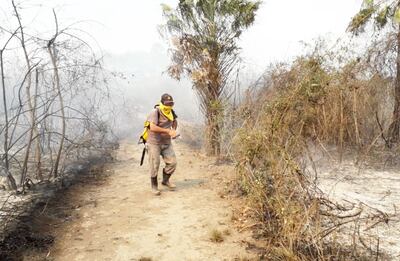 Un guardaparque en la ardua tarea de sofocar los focos del incendio que terminó por quemar toda la reserva Los Tres Gigantes.