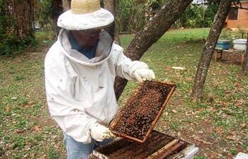 el-46-curso-nacional-de-apicultura-90421000000-1471735.JPG
